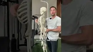 Unlock This Muscle To Unlock Your Low Back! #lowbackpain #chronicpain #backpain #backpainrelief