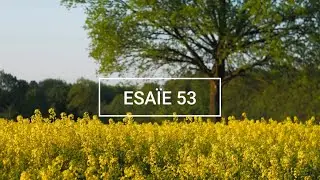 Esa&iuml;e 53 - Verset biblique pour la gu&eacute;rison et la d&eacute;livrance