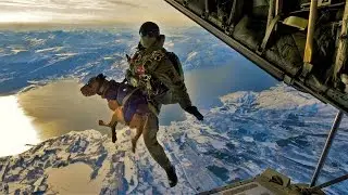 12 Animals With Amazing Jobs