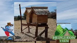 Hive relocation and pine resin