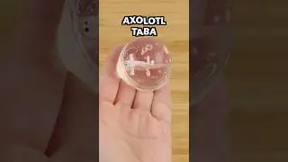 Как сделать сферическую игрушку-сквиши! #сделайсам #мило #приятно #аксолотль #эстетика #рукоделие...