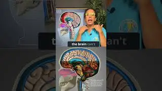 Brain fog and toxin buildup coming from the neck #brainfog #toxic #dementiaprevention #toilet