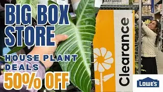 CLEARANCE BIG BOX STORE PLANT SHOPPING TOUR!!! Up to 50% OFF!!!