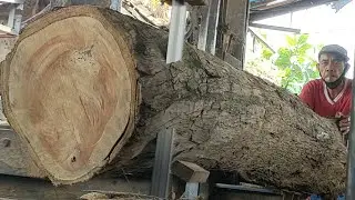 How does the old man comb this curved wood...!