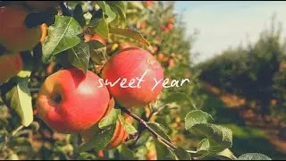 Sam Newcomer - Sweet Year (Lyric Video)