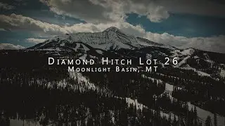 Diamond Hitch Lot 26