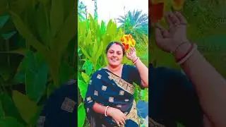 Din Bekarar Nahin Nind Gai Aankhon Se #workout #hindi #jisoo #live #funny #motivation #urdu #gaming