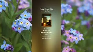 Don't Forget Me