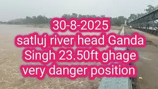 30-8-2025satluj river head Ganda Singh 23.50ft ghage very danger position #flood #ytshorts #duet 