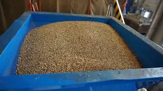 Hemp Seeds Pressing - прессование семян конопли - Hanfsamen pressen - Lisov&aacute;n&iacute; konop&iacute;