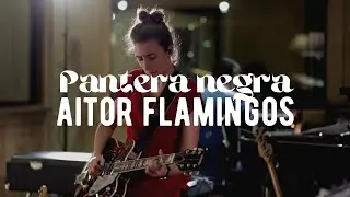 Aitor Flamingos - Pantera negra