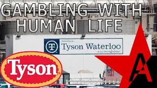 Tyson Foods Gambles on Human Lives - Pandemic, Dystopian Capitalism, and Dead Peasant's Insurance