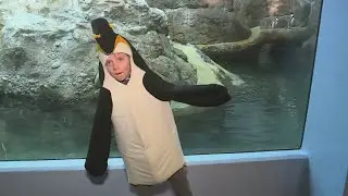 Oregon Zoo event raises awareness for endangered penguins