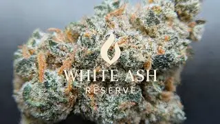 Z3 x B4 White Ash Reserve 
