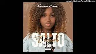 Samyra Anders & Sslowli VillaNova - Salto No Escuro (Audio)