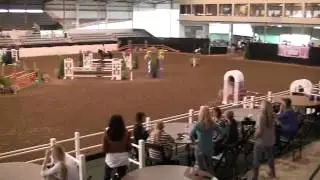Video of VALERIE ridden by JENNIFER HELDRING from ShowNet!