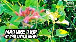 Adventure at the side of a little river that has almost no water