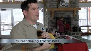 Surrendering Exotic Pets