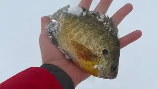 Ice fishing in Ontario , part 2/ day 2. #fishing #canada #ontario #icefishing #bassfishing #bluegill