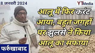 8 January 2024/ फर्रूखाबाद आलू की आवक गायब, भाव में हुआ इजाफा/ Aalu ka aaj ka bhav Farrukhabad