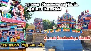 😱நாரை 🦩சிவனை வழிப்பட்ட அதிசய கோயில் | Thirunaraiyur sivan temple, kattumannarkoil