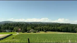 S36 Mitfahrt: Eglisau-Zweideln (19.06.2024)