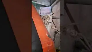 Como remendar um barco em hypalon.