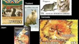 A Cat's Stamp of Approval