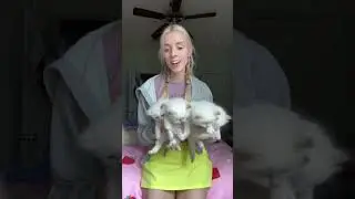 This video took so long to make, but it was cool to see the transformation of Summer's kittens