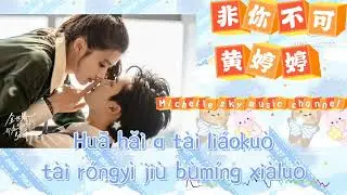 非你不可Fei ni Bu ke。黄婷婷 （Pinyin 歌词）