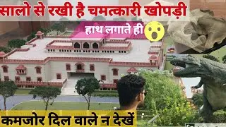Ranthambore museum | nature museum | rajiv gandhi regional museum | sawai madhopur