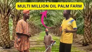 I VISITED MULTI MILLION OIL PALM FARM INVESTMENT.