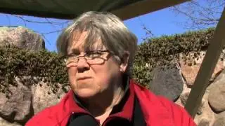 Kullings kalvdans - TV V&auml;st, reportage