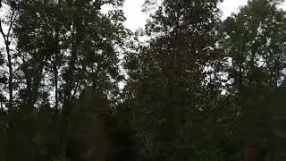 Hurricane Debby Big Bend Area Florida, not much to see. All safe.