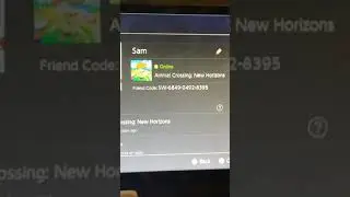 Switch Friend Code - Animal Crossing New Horizons - VISIT ME!