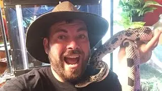 Day in the life of Reptile Jones
