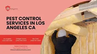 Pest Control in Los Angeles CA | Rodent Control Inc.