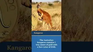 The NEW Australian Kangaroo Gold Coin at BullionMax
