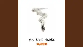The King Shake