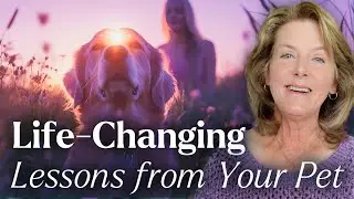 What is Your Pet Teaching You? Soul Lessons in Action | LIVE with Tami Hendrix
