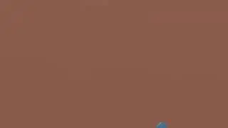 Streaming recroom for the first time on pc