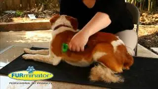 FURminator deShedding Tools