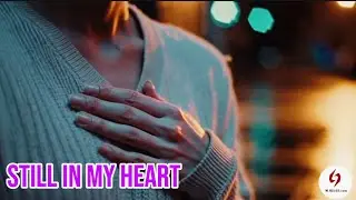STILL IN MY HEART - ( OFFICIAL MV )  | MY PHAM VCCI