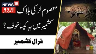 Minor Girl Killed in Kashmir, Leopard Attack | Midoora Tral, Wildlife Operation, Demand Justice |N18