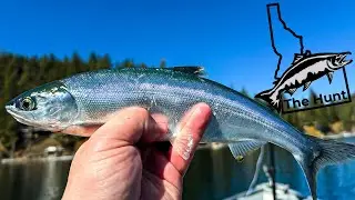 The Hunt Series (Spirit Lake) Hunting The Best Kokanee Lake