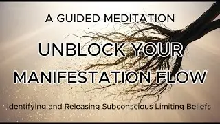 Release Manifestation Blocks | Let Go & Allow Alignment (1 Hour Guided Meditation)