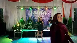 ERIKA Pro Audio System part 25