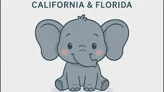 No Income? No Problem. Home Loans Made Simple in CA & FL! 