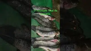 Veja o resultado final