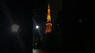 🇯🇵 Tokyo tower at night walk🗼 🇯🇵#tokyo #japan #night #tokyotower #travel #asia #japanese #like